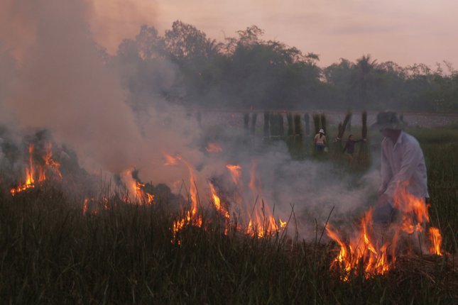 Th&acirc;n thương n&eacute;t đẹp đồng c&oacute;i Tam Quan